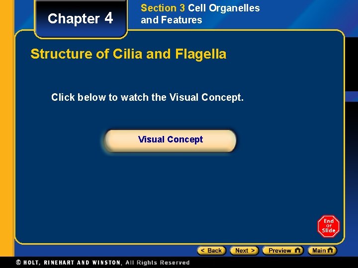 Chapter 4 Section 3 Cell Organelles and Features Structure of Cilia and Flagella Click
