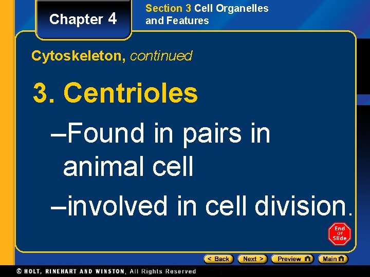 Chapter 4 Section 3 Cell Organelles and Features Cytoskeleton, continued 3. Centrioles –Found in