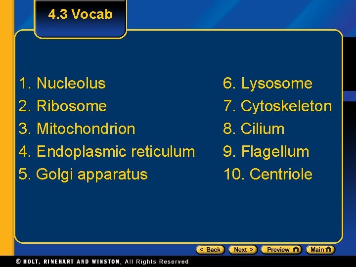 4. 3 Vocab 1. Nucleolus 2. Ribosome 3. Mitochondrion 4. Endoplasmic reticulum 5. Golgi