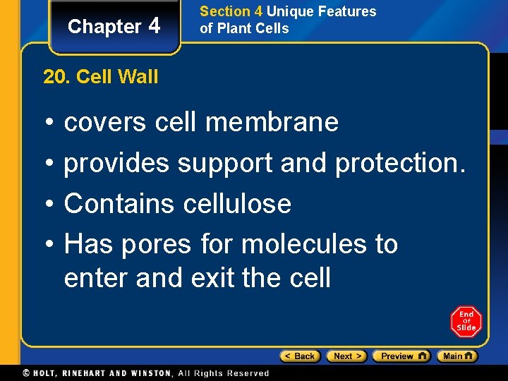 Chapter 4 Section 4 Unique Features of Plant Cells 20. Cell Wall • •