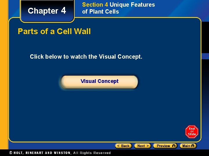 Chapter 4 Section 4 Unique Features of Plant Cells Parts of a Cell Wall