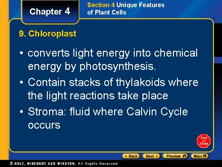 Chapter 4 Section 4 Unique Features of Plant Cells 9. Chloroplast • converts light