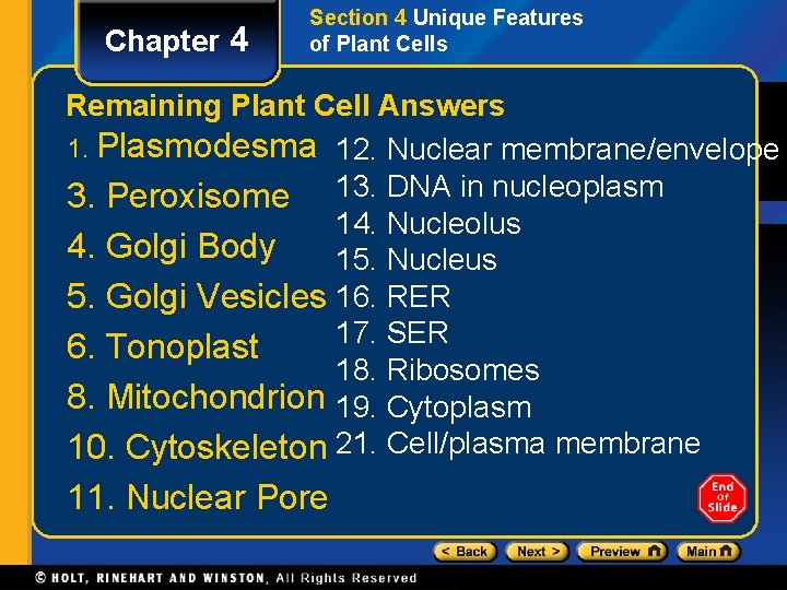 Chapter 4 Section 4 Unique Features of Plant Cells Remaining Plant Cell Answers 1.