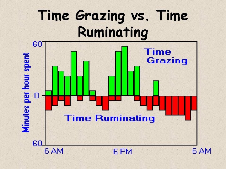 Time Grazing vs. Time Ruminating 