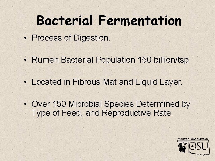 Bacterial Fermentation • Process of Digestion. • Rumen Bacterial Population 150 billion/tsp • Located