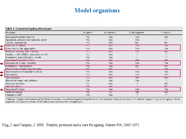 Model organisms Vijg, J. and Campisi, J. 2008. Puzzles, promises and a cure for