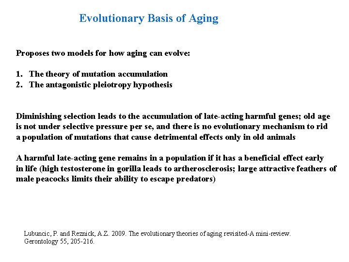 Evolutionary Basis of Aging Proposes two models for how aging can evolve: 1. The