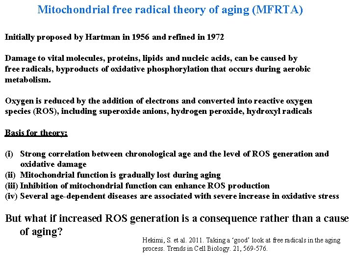 Mitochondrial free radical theory of aging (MFRTA) Initially proposed by Hartman in 1956 and
