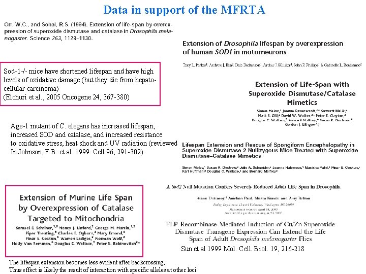 Data in support of the MFRTA Sod-1 -/- mice have shortened lifespan and have