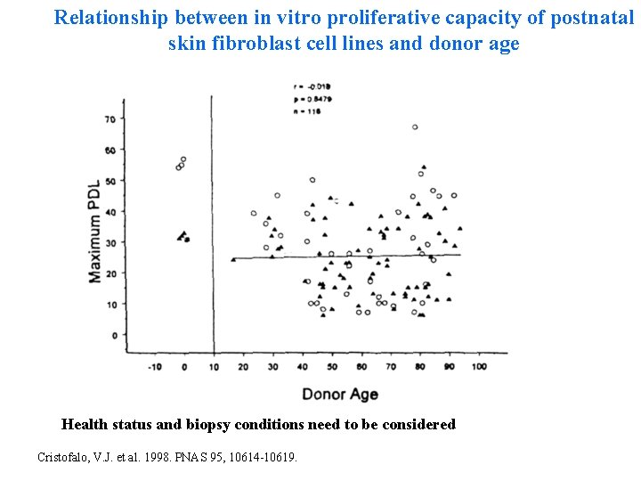 Relationship between in vitro proliferative capacity of postnatal skin fibroblast cell lines and donor