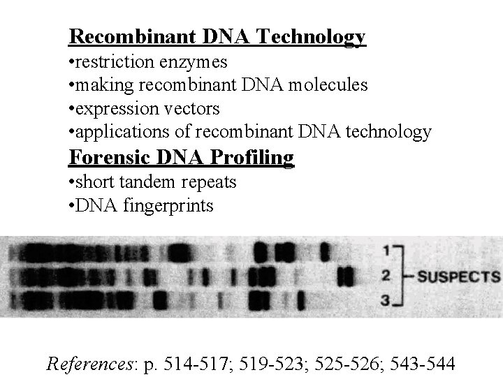 Recombinant DNA Technology • restriction enzymes • making recombinant DNA molecules • expression vectors