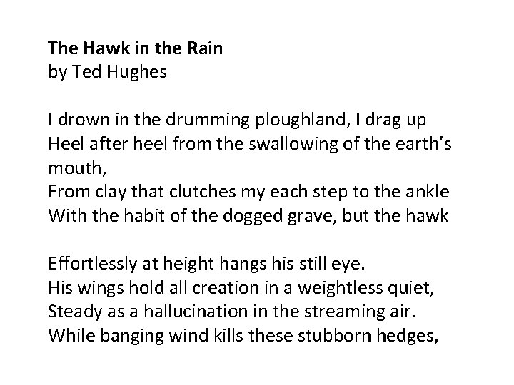 The Hawk in the Rain by Ted Hughes I drown in the drumming ploughland,