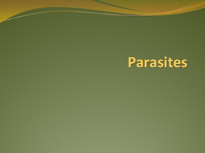 Parasites 