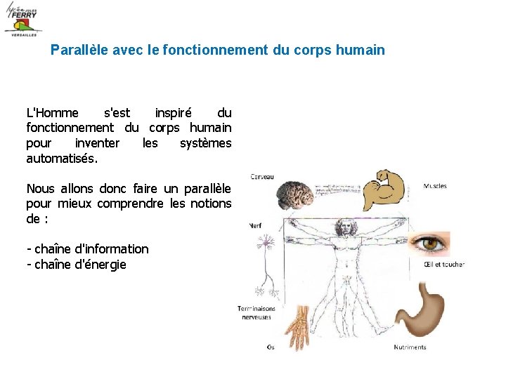 Parallèle avec le fonctionnement du corps humain L'Homme s'est inspiré du fonctionnement du corps