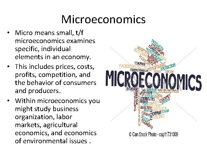Microeconomics • Micro means small, t/f microeconomics examines specific, individual elements in an economy.