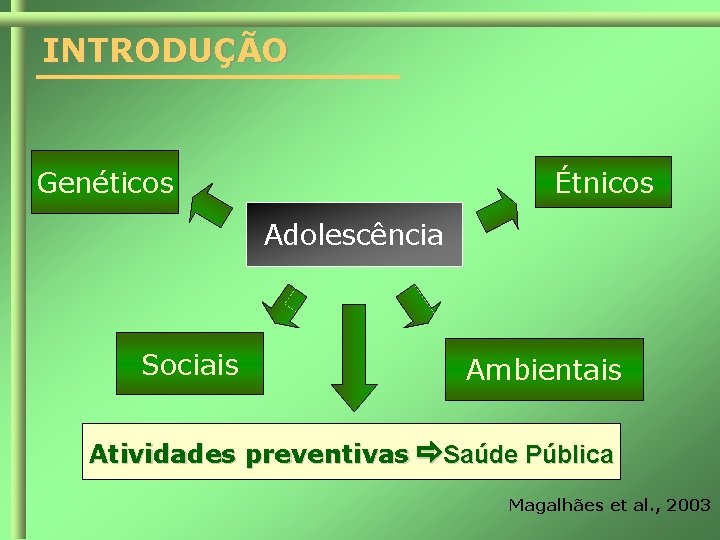 INTRODUÇÃO Genéticos Étnicos Adolescência Sociais Ambientais Atividades preventivas Saúde Pública Magalhães et al. ,