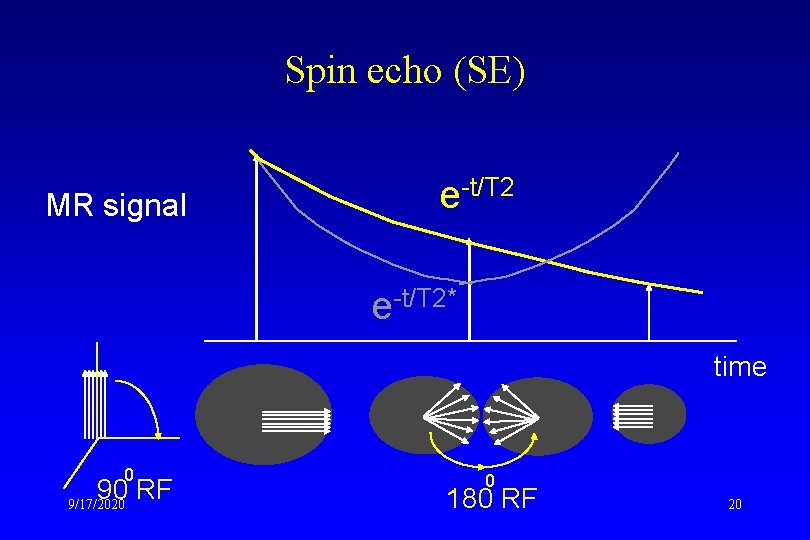 Spin echo (SE) MR signal e-t/T 2* time 0 90 RF 9/17/2020 0 180