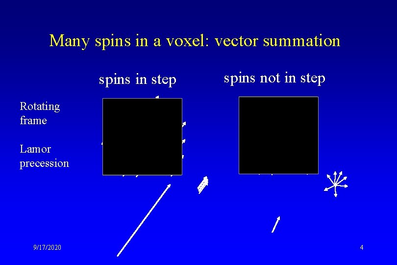 Many spins in a voxel: vector summation spins in step spins not in step
