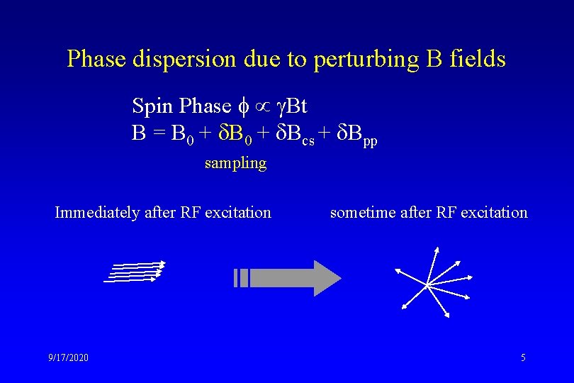 Phase dispersion due to perturbing B fields Spin Phase f g. Bt B =