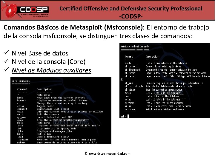 Certified Offensive and Defensive Security Professional -CODSP- Comandos Básicos de Metasploit (Msfconsole): El entorno