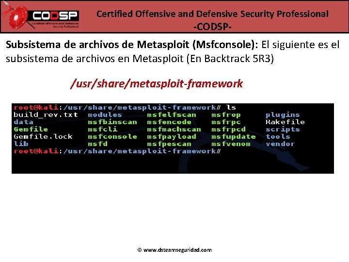 Certified Offensive and Defensive Security Professional -CODSP- Subsistema de archivos de Metasploit (Msfconsole): El