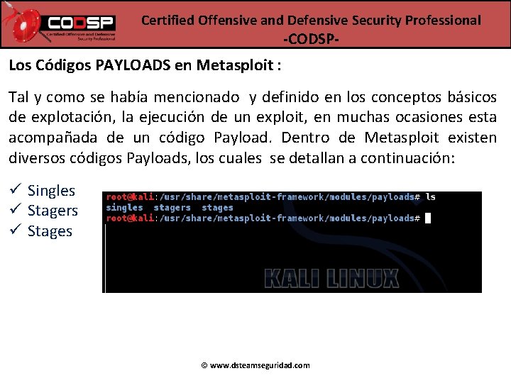 Certified Offensive and Defensive Security Professional -CODSP- Los Códigos PAYLOADS en Metasploit : Tal