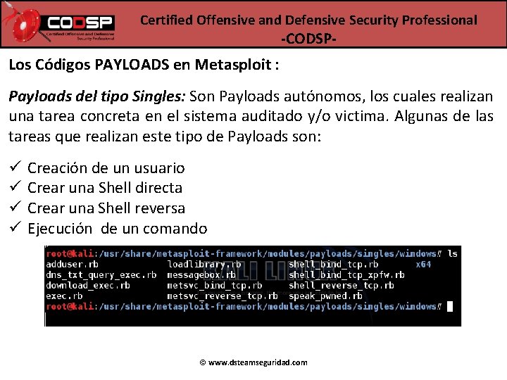 Certified Offensive and Defensive Security Professional -CODSP- Los Códigos PAYLOADS en Metasploit : Payloads