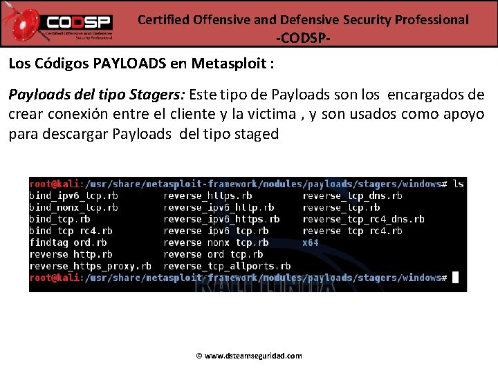 Certified Offensive and Defensive Security Professional -CODSP- Los Códigos PAYLOADS en Metasploit : Payloads