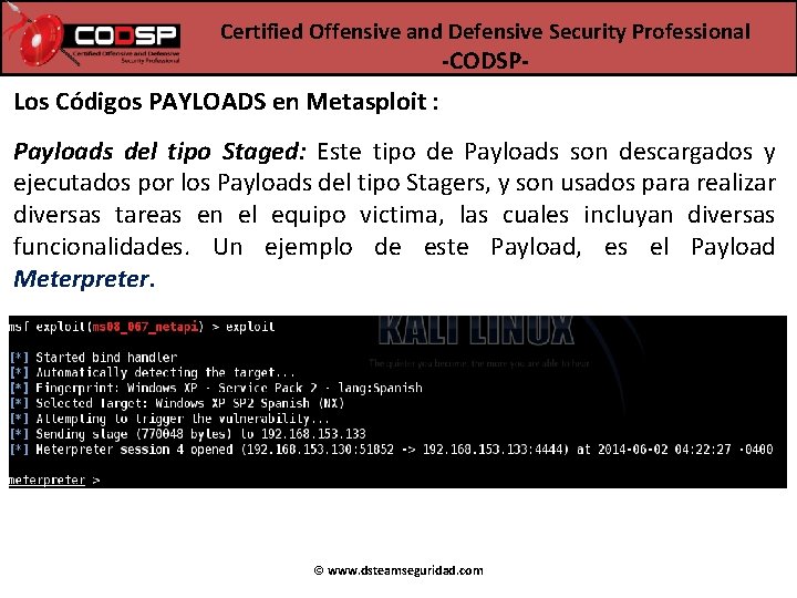 Certified Offensive and Defensive Security Professional -CODSP- Los Códigos PAYLOADS en Metasploit : Payloads