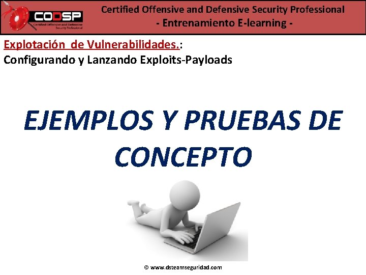 Certified Offensive and Defensive Security Professional - Entrenamiento E-learning - Explotación de Vulnerabilidades. :