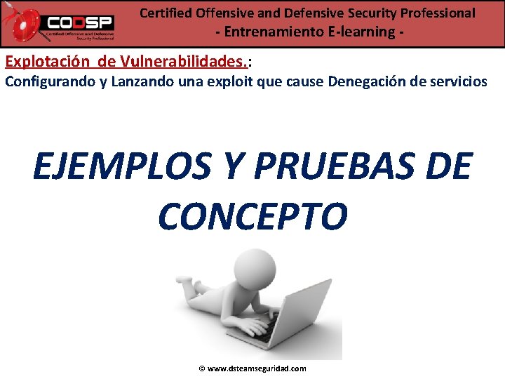 Certified Offensive and Defensive Security Professional - Entrenamiento E-learning - Explotación de Vulnerabilidades. :