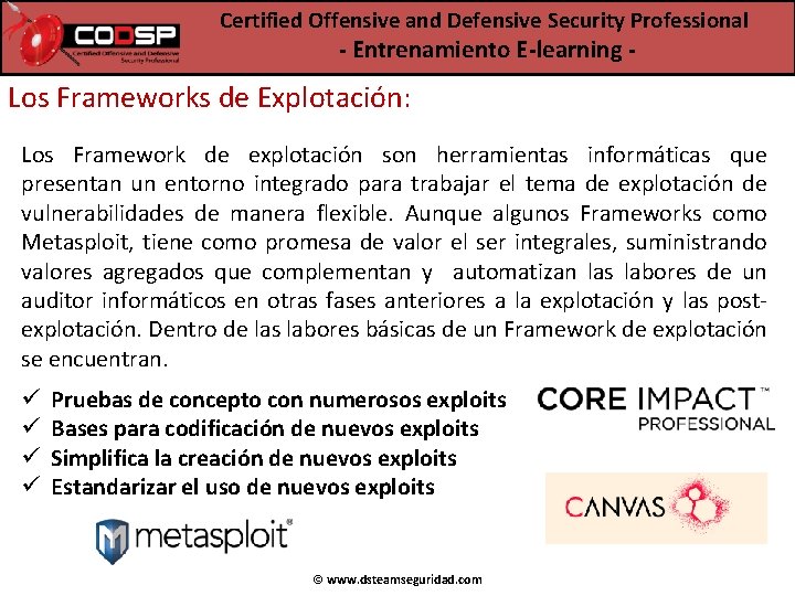 Certified Offensive and Defensive Security Professional - Entrenamiento E-learning - Los Frameworks de Explotación: