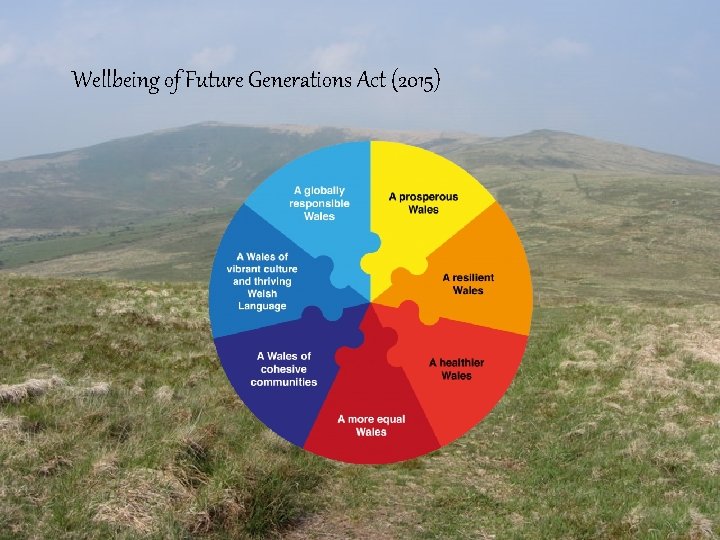 Wellbeing of Future Generations Act (2015) 