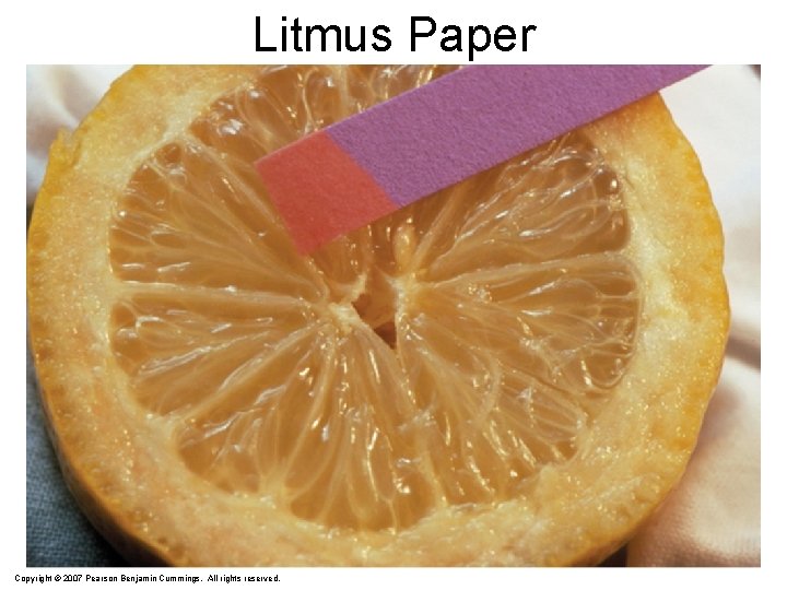 Litmus Paper Copyright © 2007 Pearson Benjamin Cummings. All rights reserved. 