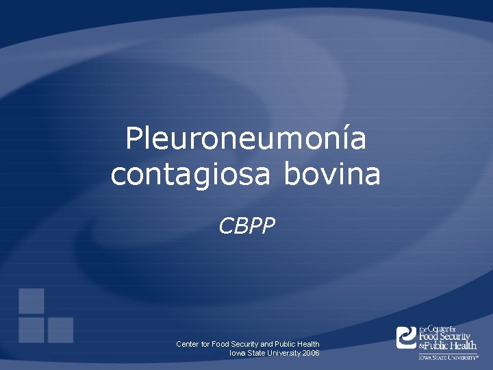Pleuroneumonía contagiosa bovina CBPP Center for Food Security and Public Health Iowa State University