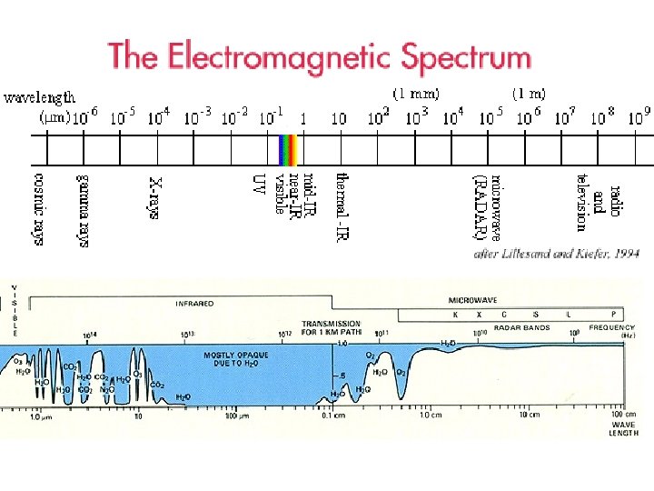 Electromagnetic Spectrum 