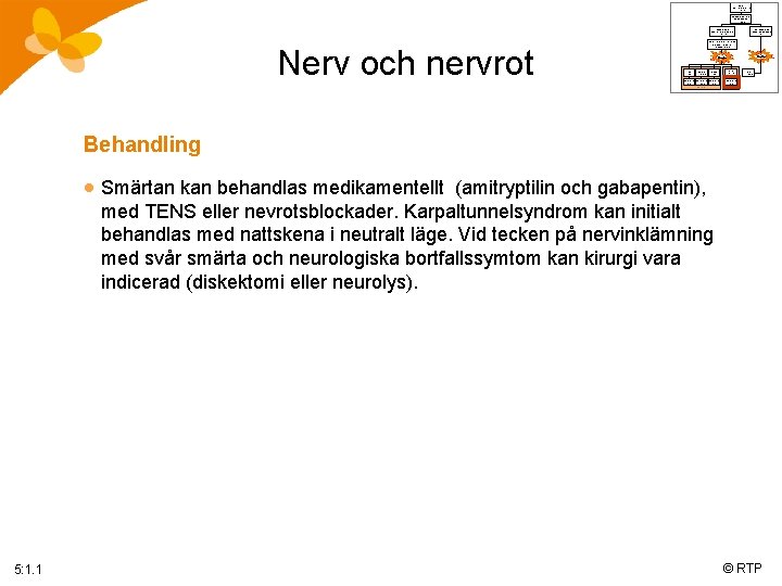 polio med/utan förlamning Flik 1: 0 Konsekvenserna av poliosjukdomen Flik 2: 0 muskelsvaghet med/utan