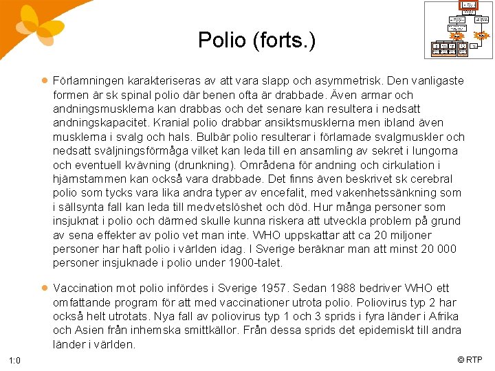 polio med/utan förlamning Flik 1: 0 Konsekvenserna av poliosjukdomen Flik 2: 0 muskelsvaghet med/utan