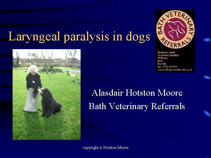 Laryngeal paralysis in dogs Alasdair Hotston Moore Bath Veterinary Referrals copyright A Hotston Moore