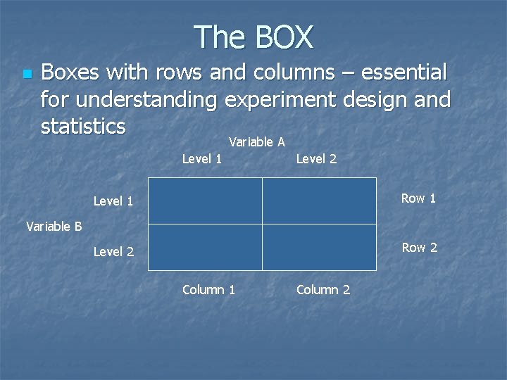 The BOX n Boxes with rows and columns – essential for understanding experiment design