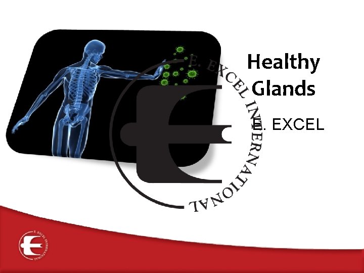 Healthy Glands E. EXCEL 