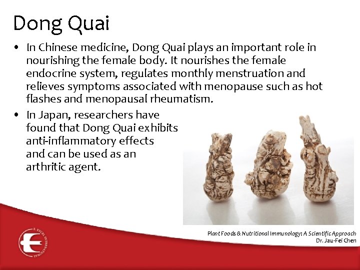 Dong Quai • In Chinese medicine, Dong Quai plays an important role in nourishing
