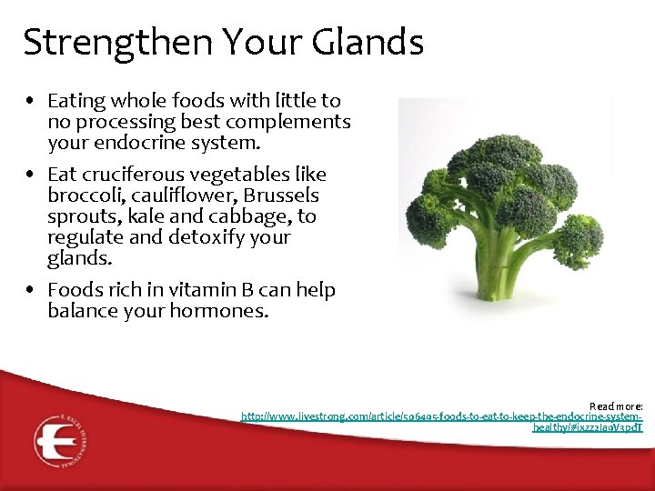 Strengthen Your Glands • Eating whole foods with little to no processing best complements