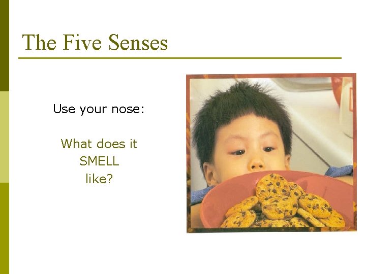 The Five Senses Use your nose: What does it SMELL like? 