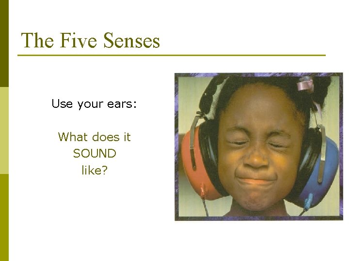 The Five Senses Use your ears: What does it SOUND like? 