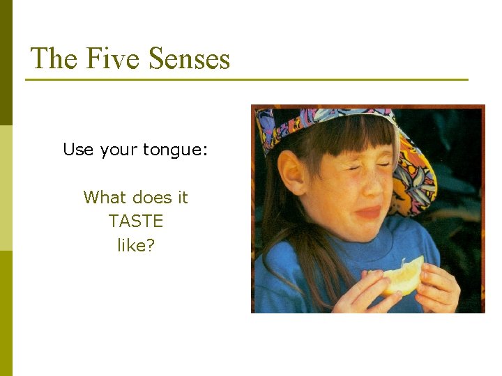 The Five Senses Use your tongue: What does it TASTE like? 