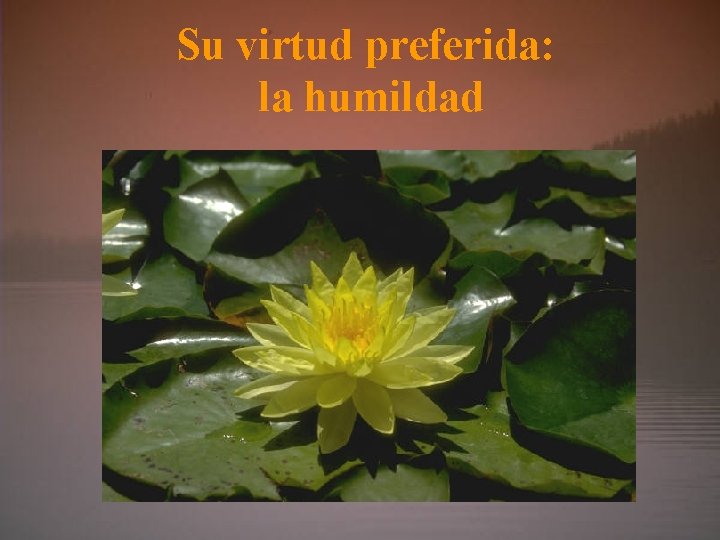 Su virtud preferida: la humildad 