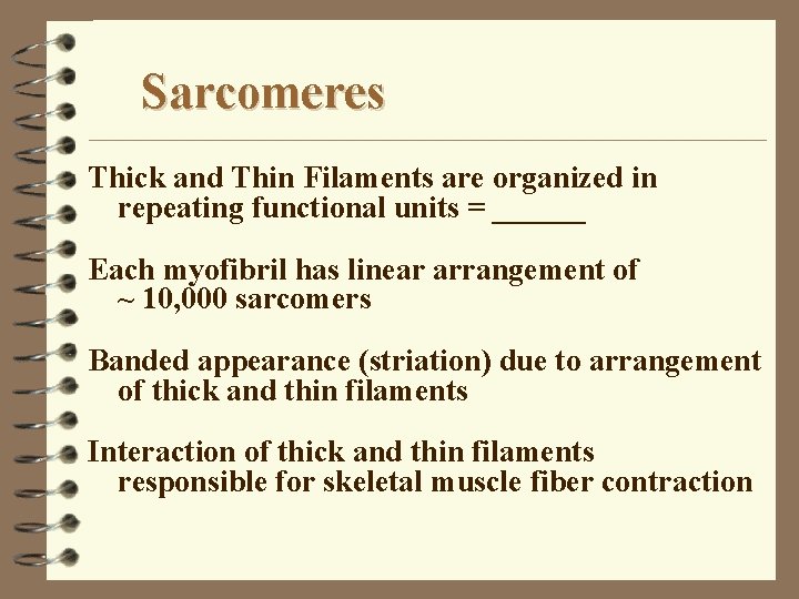 Sarcomeres Thick and Thin Filaments are organized in repeating functional units = ______ Each