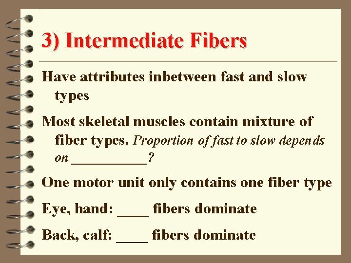 3) Intermediate Fibers Have attributes inbetween fast and slow types Most skeletal muscles contain