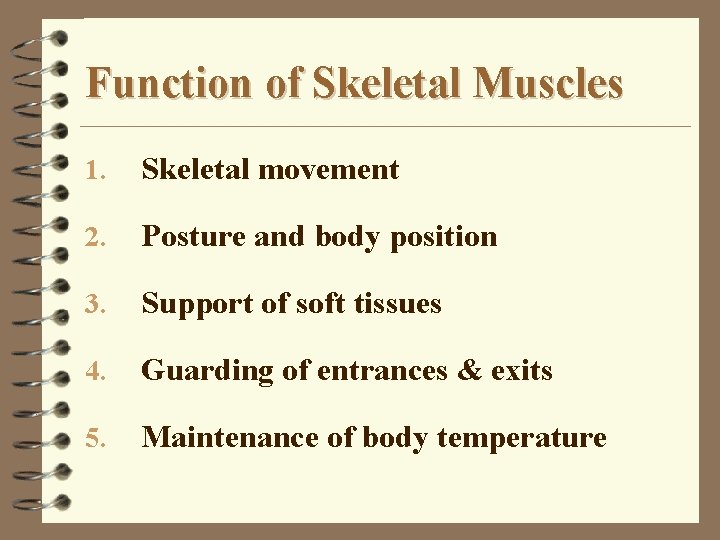 Function of Skeletal Muscles 1. Skeletal movement 2. Posture and body position 3. Support